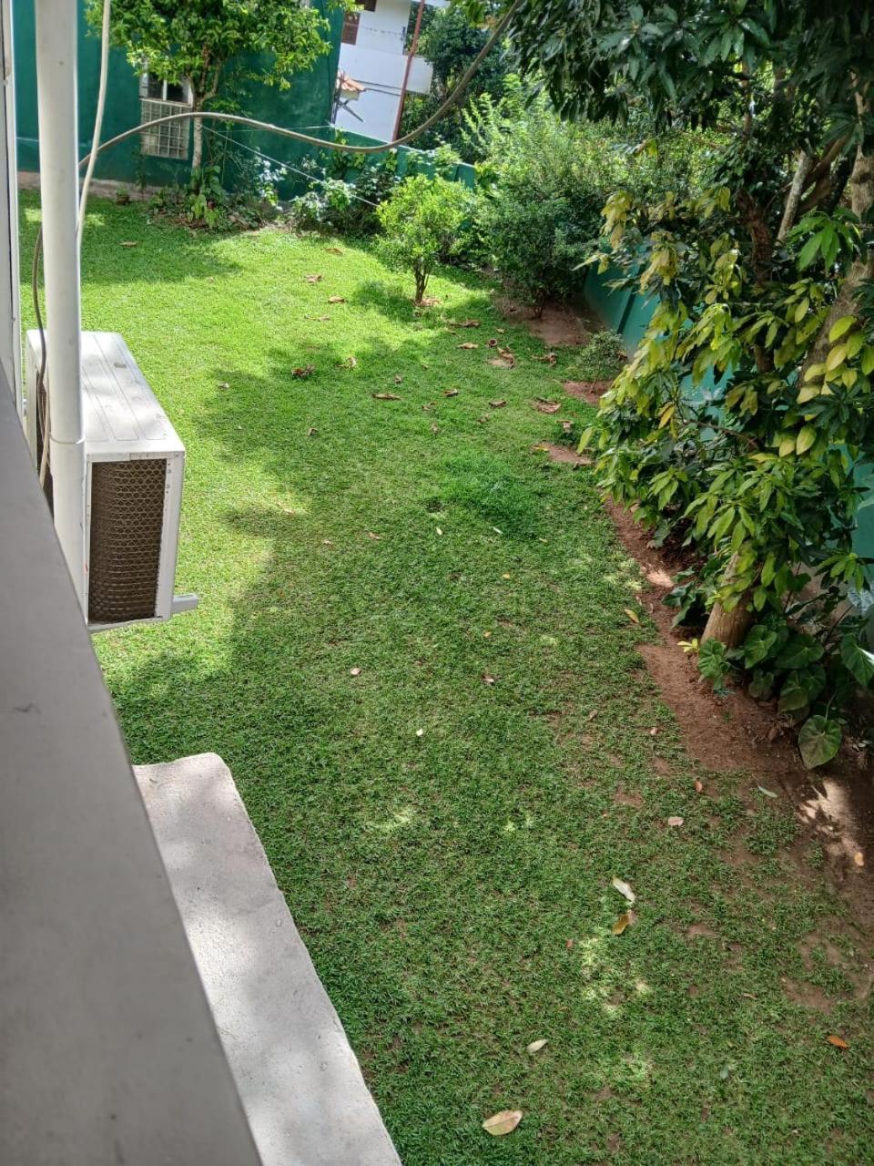 Kandy Twin Hostel Kültér fotó